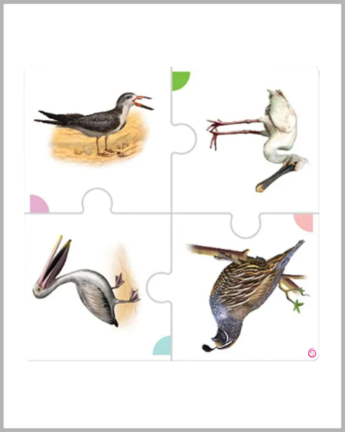 Toy kraftt Bird Watch Educational Puzzle Game - 5Y+