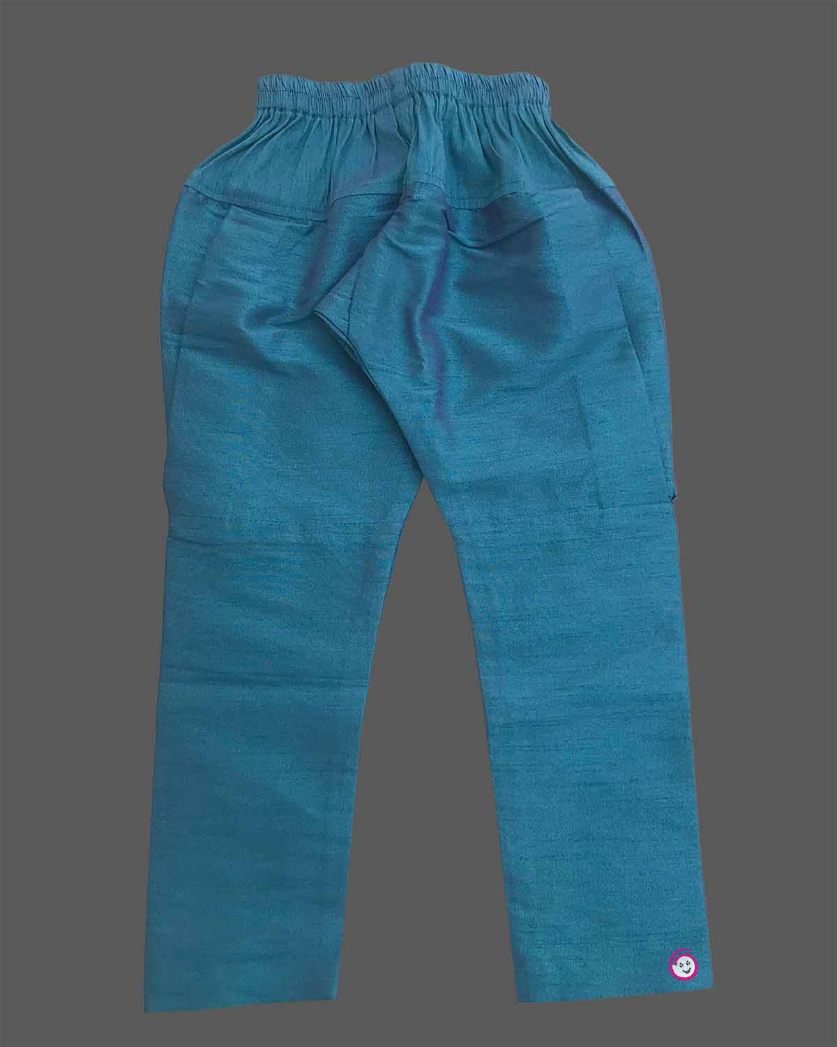 Boys light blue ethnic silk sherwani with vibrant elephant and deer motifs, mandarin collar, pocket square, paired with blue elastic waist pant