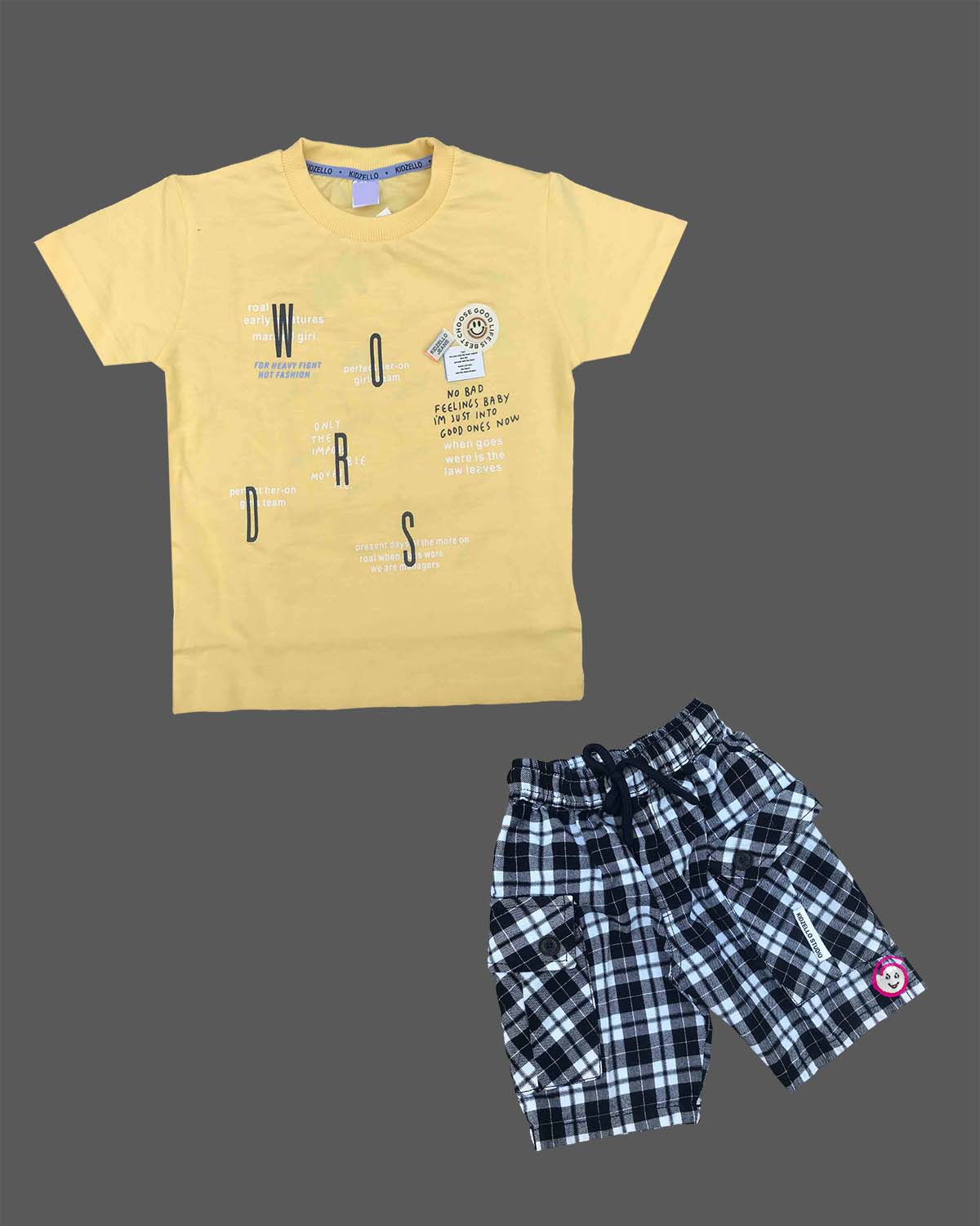Boys Graphic Printed T-Shirt and Patterned Shorts Set for Toddlers
