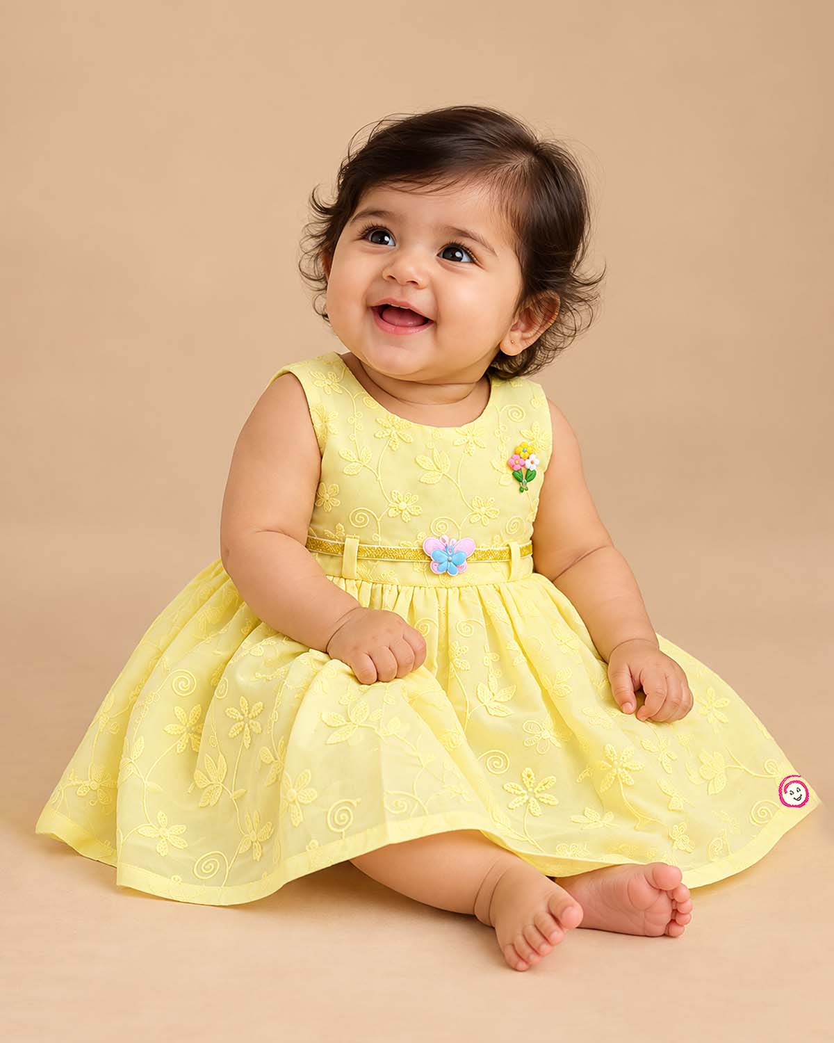 Infants frock with floral schiffli embroidery and butterfly accent for casual wear
