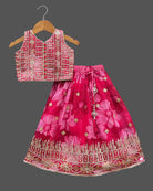 Girls attractive color with choli set - Pink