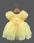 Ornate ruffled-sleeve celebration dress for a little diva with pearl-accented edges and a center floral motif.
