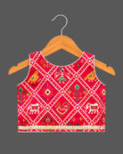 Girls patola print sleeveless choli with pleated mirror work skirt, lehenga choli for kids