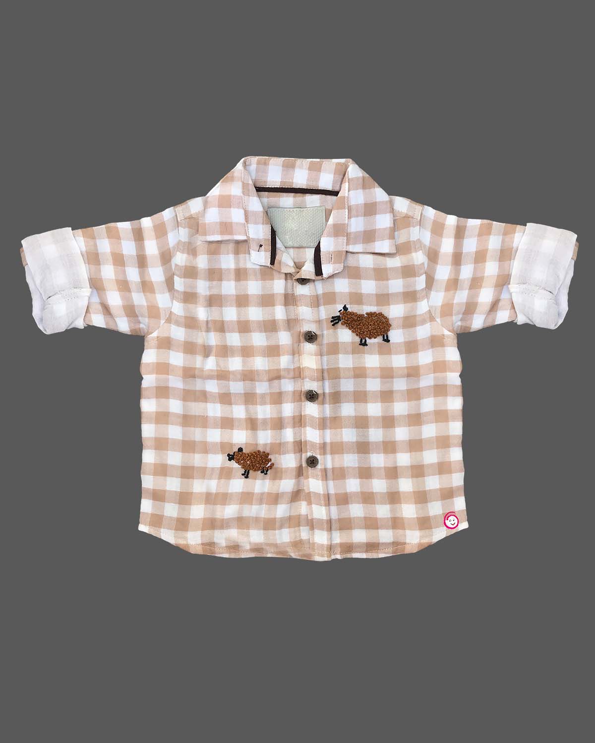 stylish shirt and pant