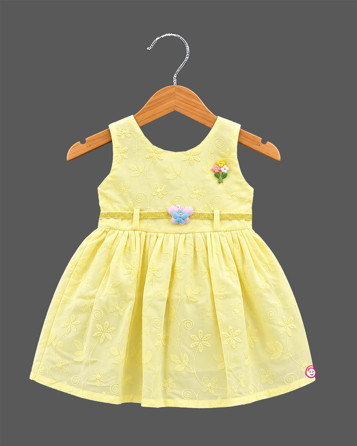 Infants frock with floral schiffli embroidery and butterfly accent for casual wear
