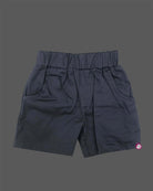 Short sleeve notch collar shirt with floral embroidery on front side paired with solid elastic waist shorts for toddler boys