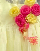 Girls party frock with stitched flower