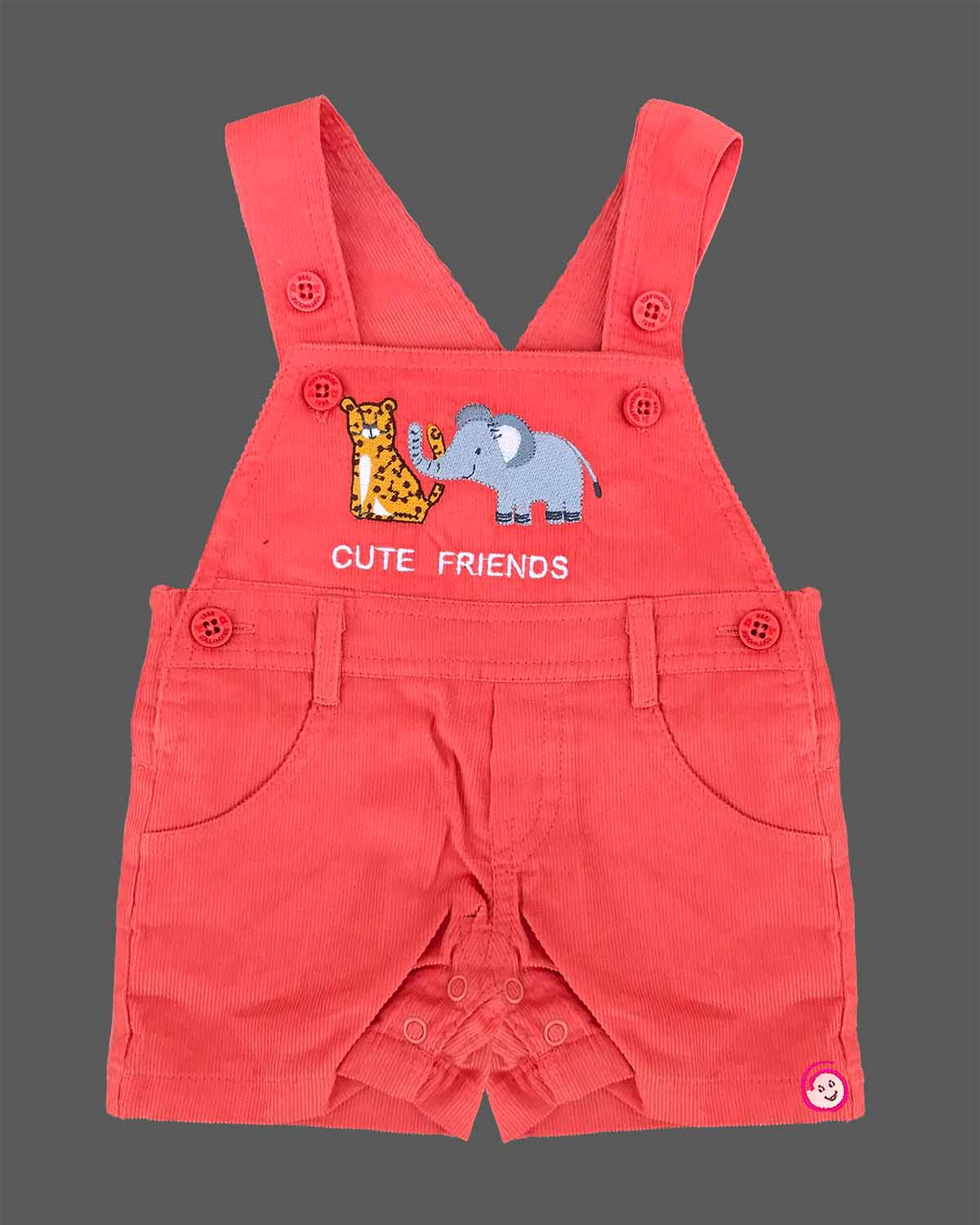Adorable little gentleman safari animal print tshirt paired with embroidered friends short dungarees