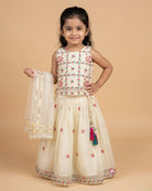 lehenga with crop top for wedding